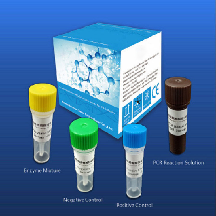 Covid-2019 အတွက် Reagent Diagnostic Test Kits များသည် Real-time Pcr Platform ပေါ်တွင် မူတည်သည်